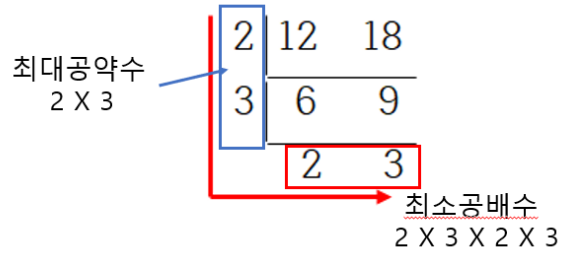image-20230206184300906